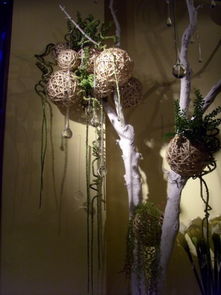 老狼花藝婚慶 經典花藝軟裝飾設計與景觀工程的一站式服務