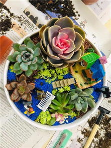 深圳花藝沙龍 以芬芳為紐帶，深化客戶情誼的聚會(huì)與花藝工程